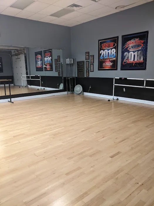 Premier Academy of the Performing Arts Picture 8