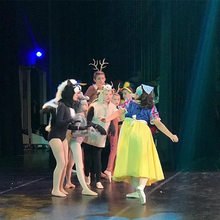 Dancers Studio, Inc. Picture 3