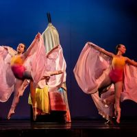 Dancers Studio, Inc. ico