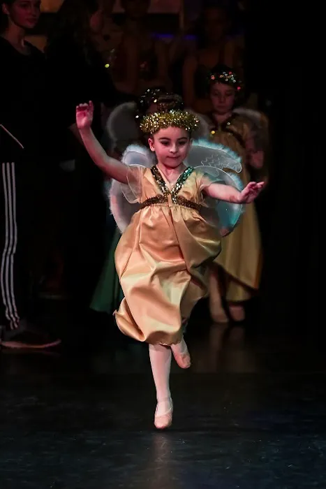 Dancers Studio, Inc. Picture 9