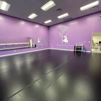 New Creations Dance Company ico