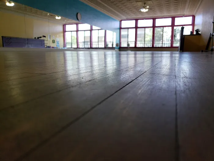 Dance Foundation of La Porte, DFLP LLC. Picture 1