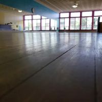 Dance Foundation of La Porte, DFLP LLC. ico