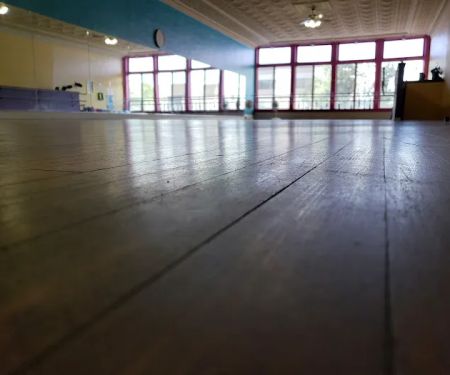 Dance Foundation of La Porte, DFLP LLC.