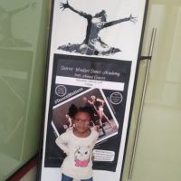 Detroit Windsor Dance Academy ico