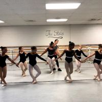Russian Ballet Academy of Michigan ico