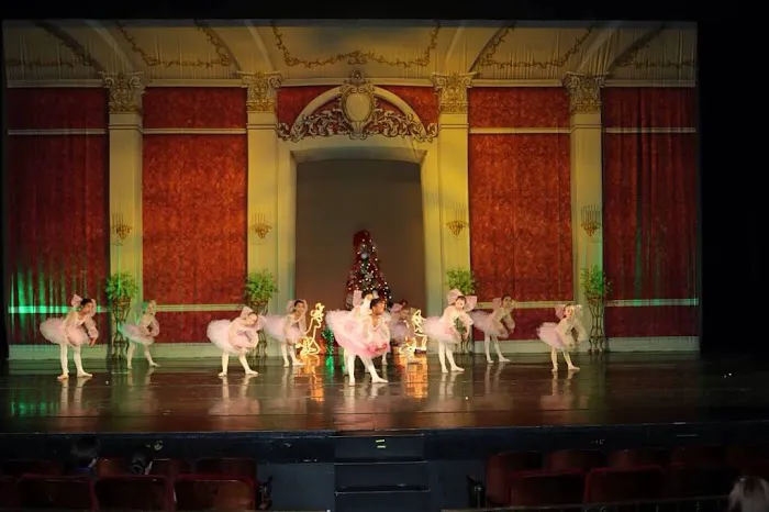 Russian Ballet Academy of Michigan Picture 8