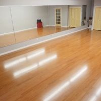 Royal Oak Dance Academy ico