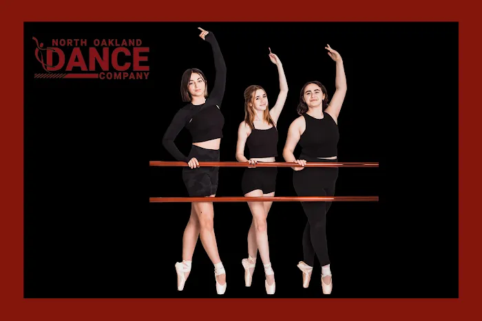 North Oakland Dance Company Picture 10