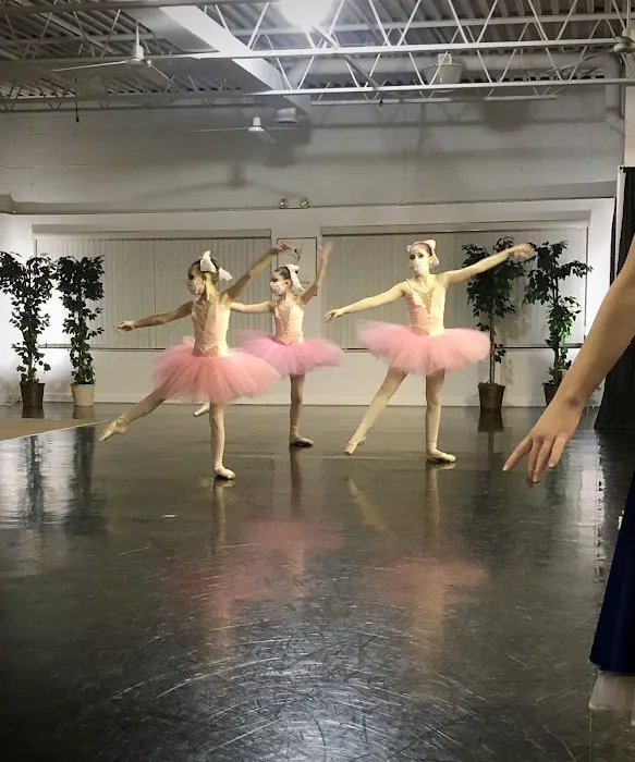Rochester School of Dance Picture 8