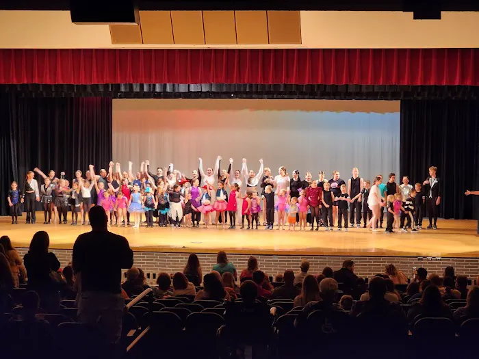 Michigan Dance Company Picture 5
