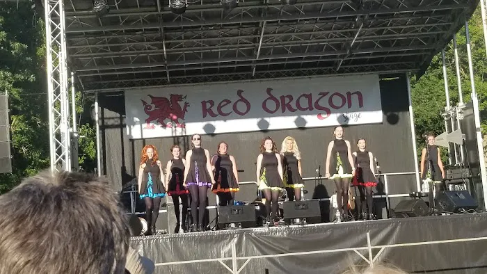 Motor City Irish Dance LLC Picture 4