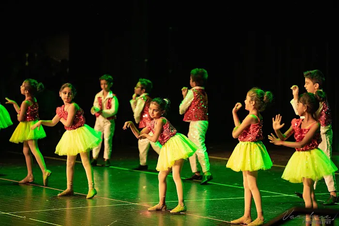 Mathangi Dance Company - TROY Picture 1