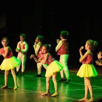 Mathangi Dance Company - TROY ico