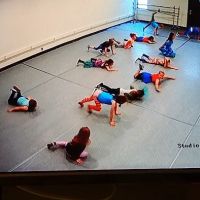 Lake Michigan Dance Academy ico