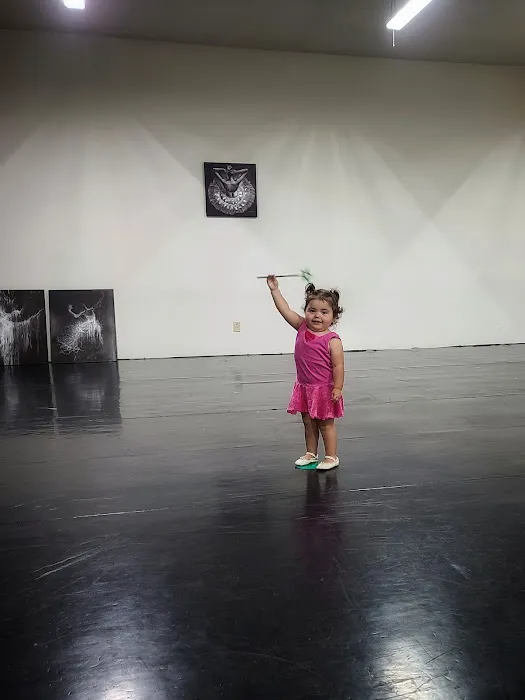 Elite Dance And Acrobatics, Inc Picture 1