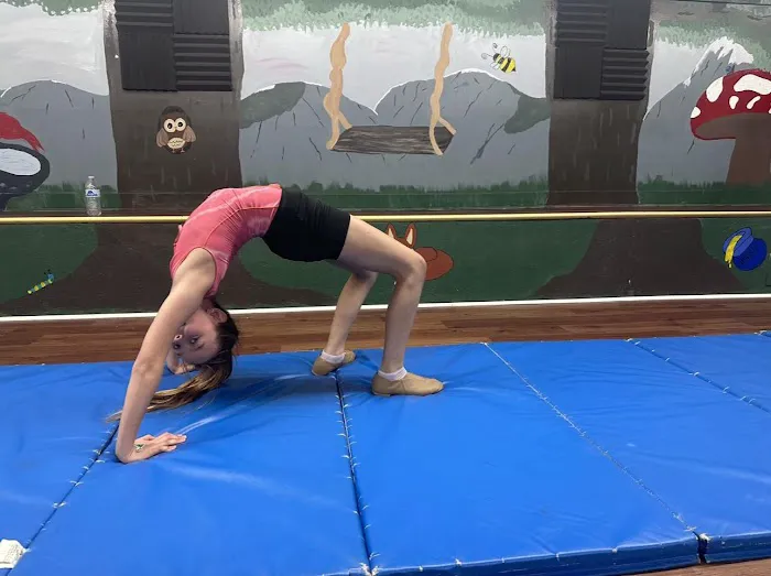Dreams In Motion Academy of Dance by Miranda Inc Picture 8