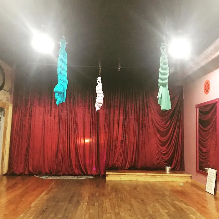 Go Aerial Fitness Picture 2