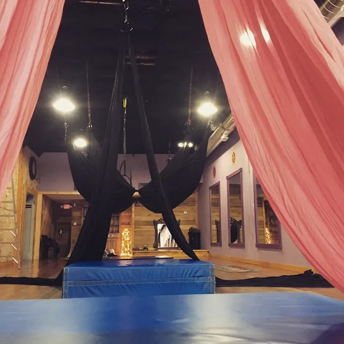 Go Aerial Fitness Picture 5