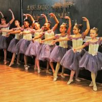 Lakeshore School of Performing Arts ico