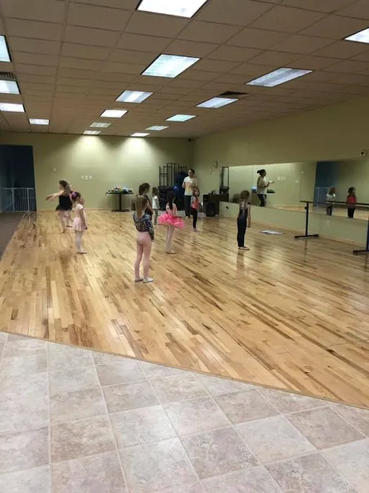 Dancebizz Centre for Dance Picture 5