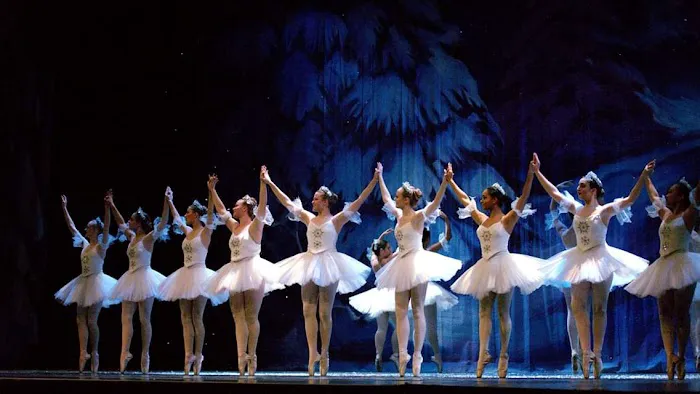 Indiana Ballet Theatre Picture 3