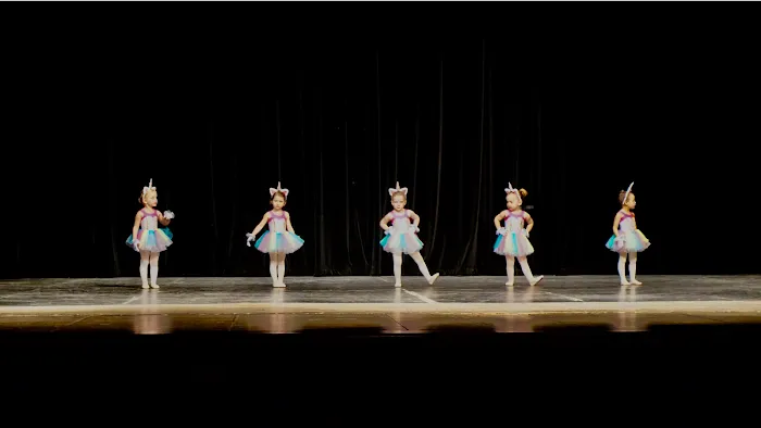 The Institution of Dance Arts Picture 3