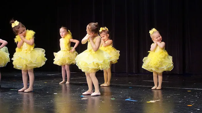 The Institution of Dance Arts Picture 7