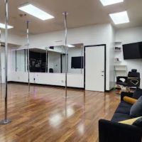 Poles & Polish Luxury Pole Fitness Studio ico