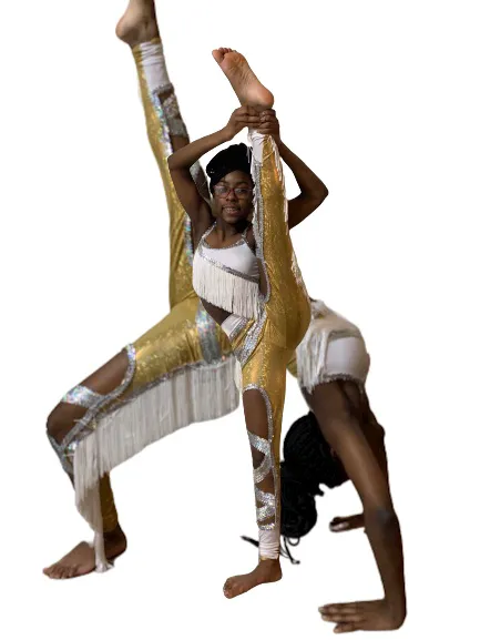 Dangerous Dance Company Picture 1