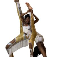 Dangerous Dance Company ico