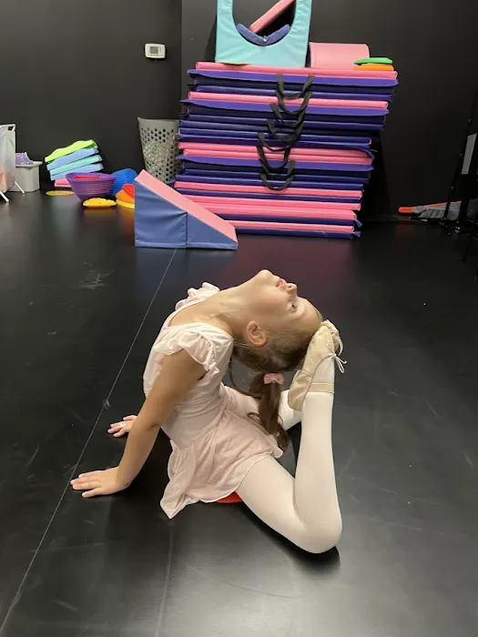 ArtLab J Troy Dance & Art Studio Picture 4
