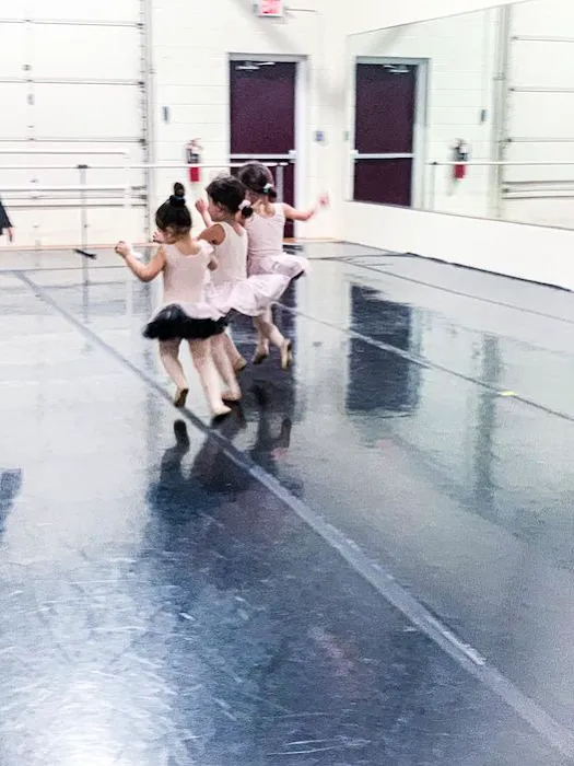 The Link School of the Arts Picture 5