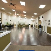 Arthur Murray Dance Studio IN ico