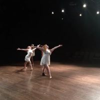 Windfall Dancers Inc ico