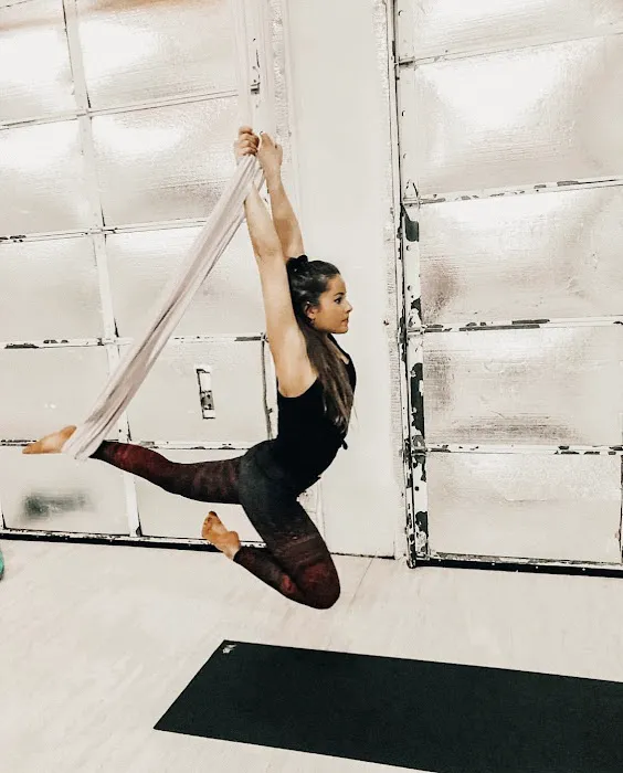 Wild Orchid - Embodied Pole Dance & Sensual Arts Studio Picture 5