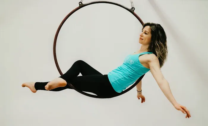 Wild Orchid - Embodied Pole Dance & Sensual Arts Studio Picture 8