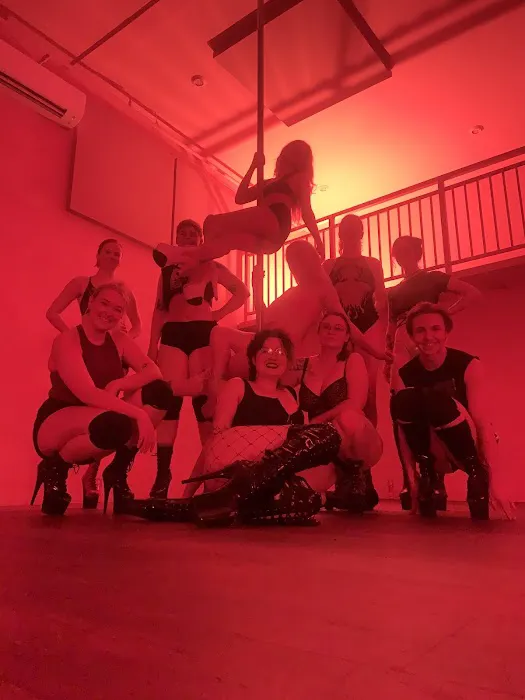 Wild Orchid - Embodied Pole Dance & Sensual Arts Studio Picture 6