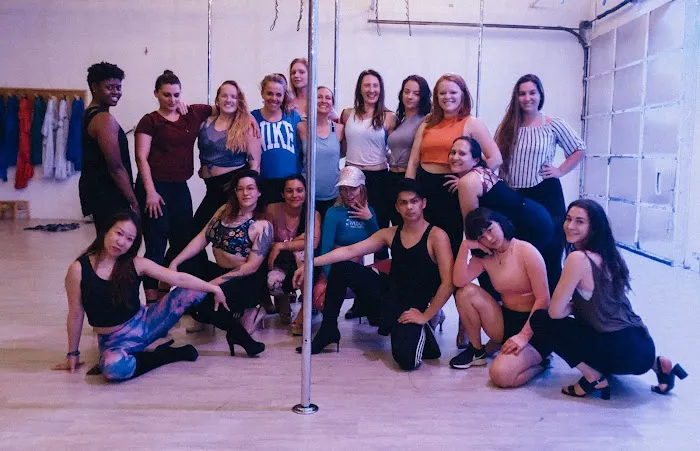 Wild Orchid - Embodied Pole Dance & Sensual Arts Studio Picture 10