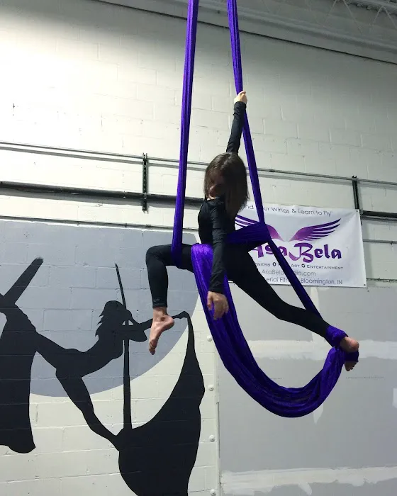 Asabela Studio - Aerial Dance & Fitness Classes Picture 2