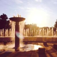 Indiana University Jacobs School of Music ico