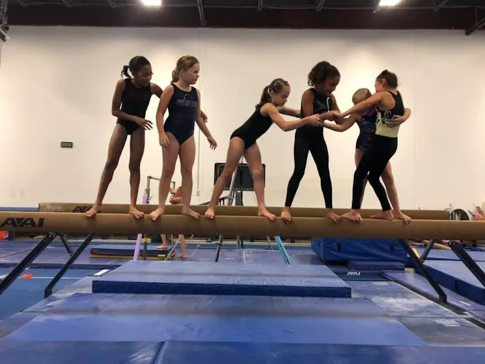 Dream Big Gymnastics Picture 3