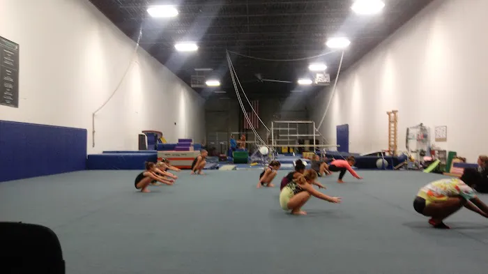 Dream Big Gymnastics Picture 4
