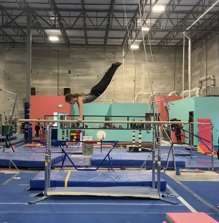 Dream Big Gymnastics Picture 1