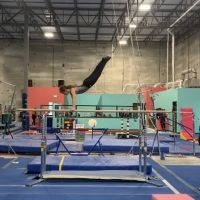 Dream Big Gymnastics ico
