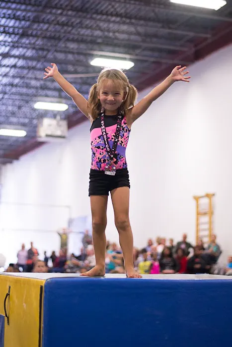 Dream Big Gymnastics Picture 2