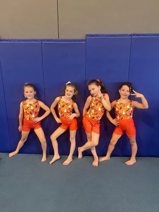 Dream Big Gymnastics Picture 7