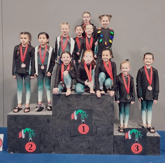 Dream Big Gymnastics Picture 10