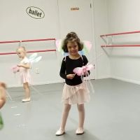 Promise Dance Academy Inc ico