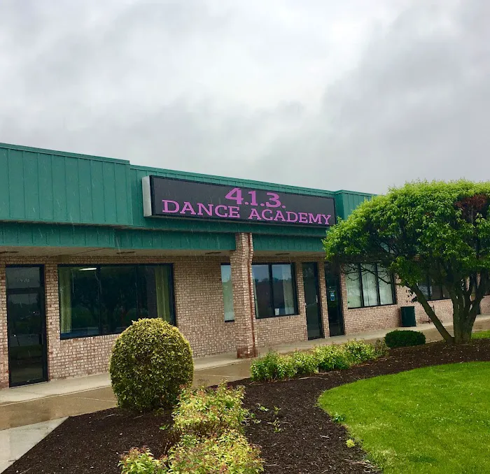 4.1.3. Dance Academy Picture 1